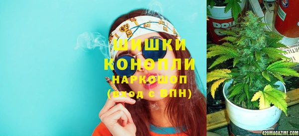 PSILOCYBIN Абдулино